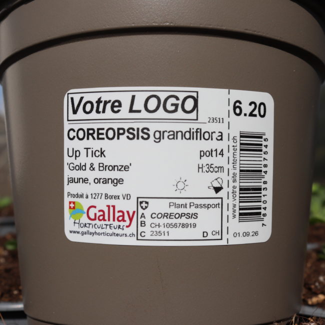 Marque GALLAY