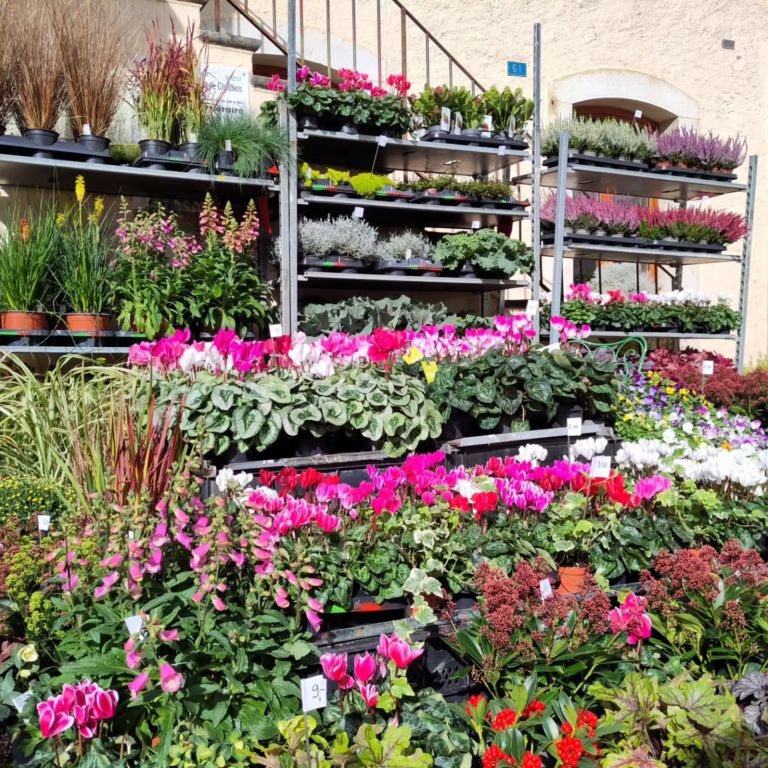 Instagram post from gallayhorticulteurs. This post is in position 5.
