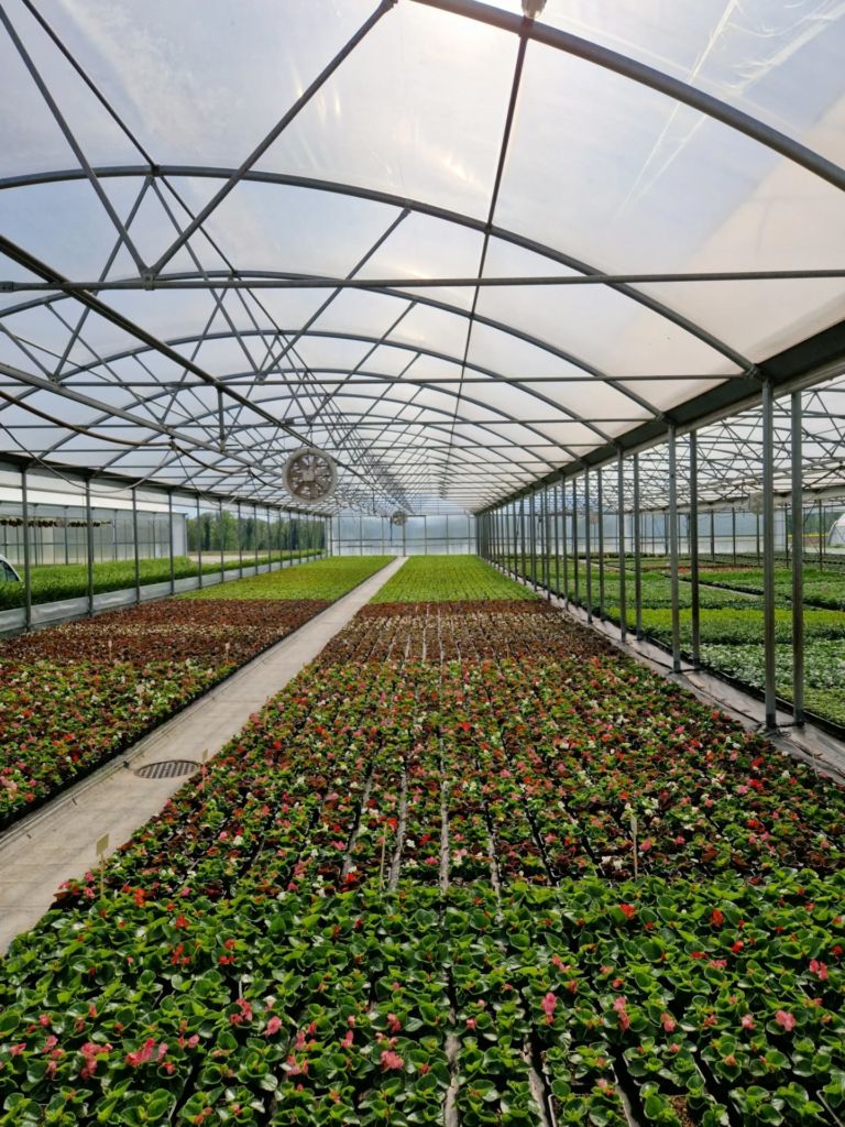 Instagram post from gallayhorticulteurs. This post is in position 2.